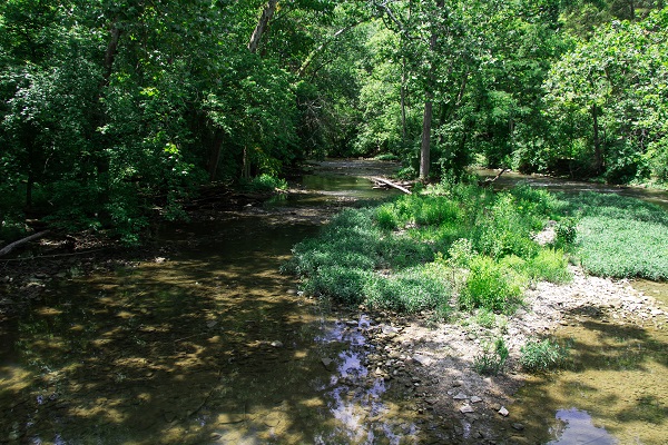 Looking over an island in a river from a bridge